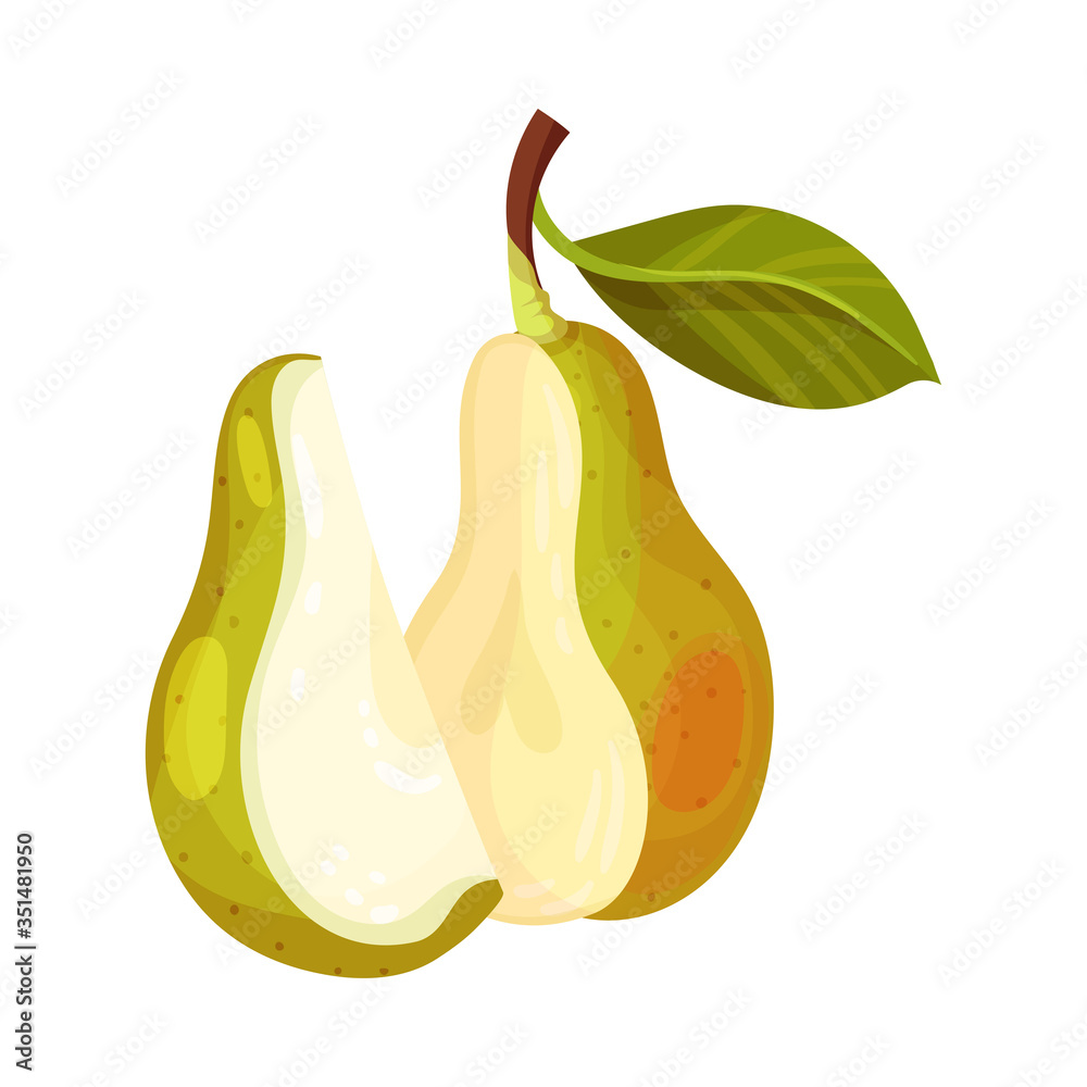Pomaceous Halved Pear Fruit with Upper Flower Stalk and Green Fibrous Leaves Vector Illustration Pomaceous Halved Pear Fruit with Upper Flower Stalk and Green Fibrous Leaves Vector Illustration