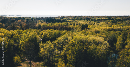 Overlook of a Forest at Potawatomi State Park in Sturgeon Bay, Wisconsin. Beautiful Forest at the shore of Lake Michigan in Mid-May in Door County