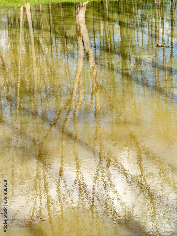 a small pond, the shady water surface reflects the shades of trees a small pond, the shady water surface reflects the shades of trees