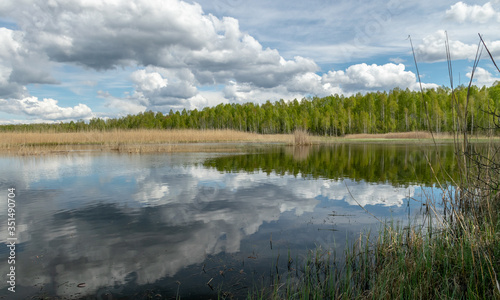 a developed bog lake  swampy meadows and bogs wonderful cumulus clouds and reflections in the water  Sedas heath  Latvia