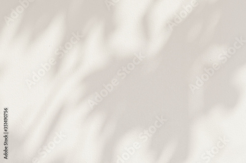 Leaf shadows on a cement background illustration