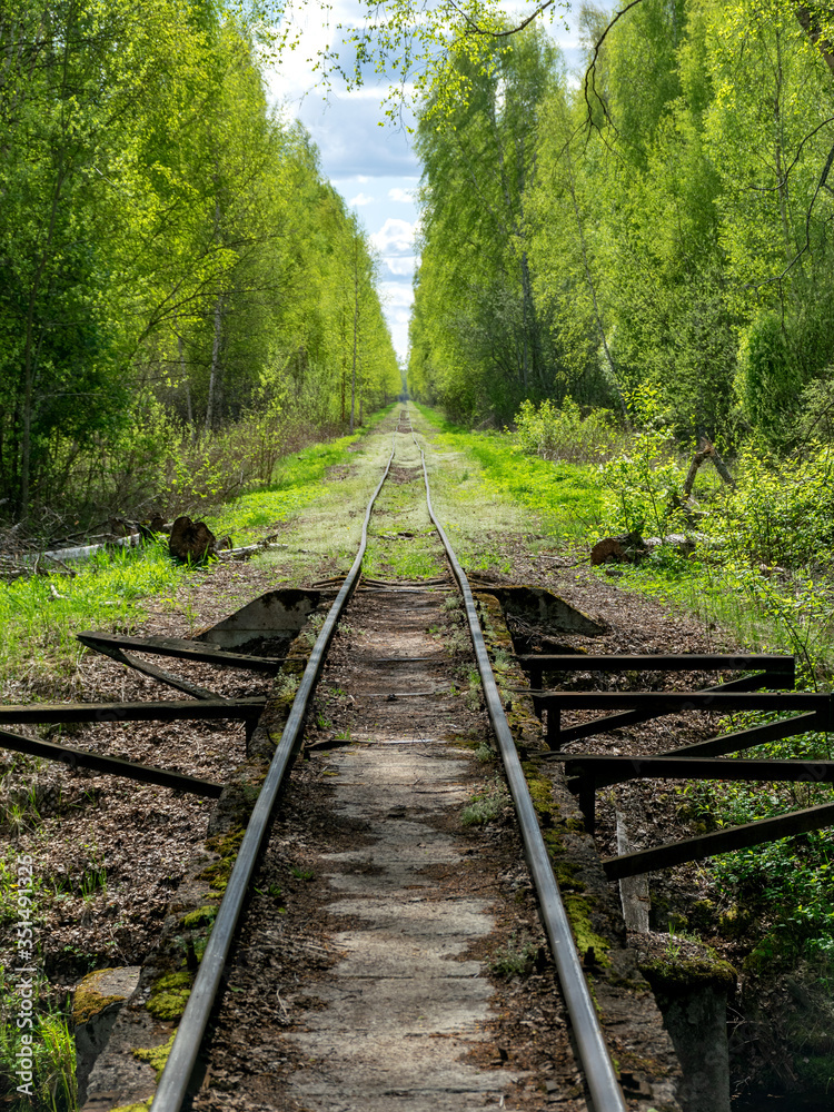 Fototapeta premium a bridge over a bog ditch,