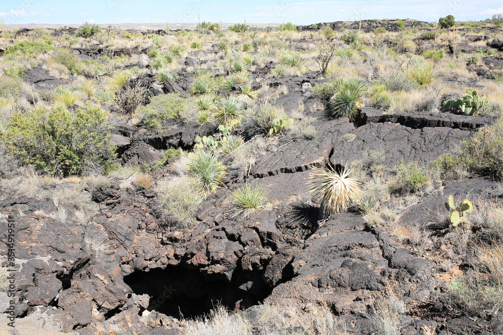 Naklejka premium Scenic Valley of Fire Recreation Area in New Mexico, USA