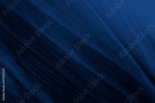 Textured dark blue background