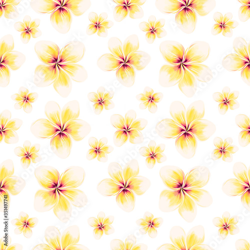 Exotic white Plumeria pattern on white background. Seamless summer tropical fabric design. Hand drawn illustration