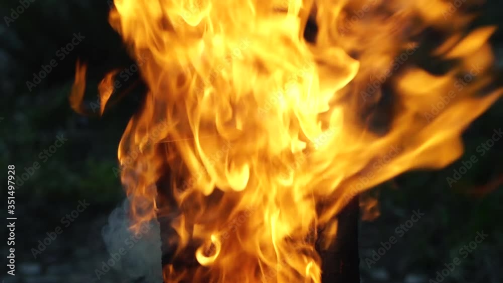 Burning woods in campfire close-up slow motion Burning woods in campfire close-up slow motion
