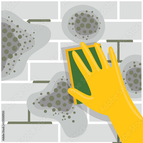 A human hand in a rubber glove washes mold from ceramic tiles.Toxic mold spores, health hazard.Means for removing fungi and bacteria.Household sponge for washing and cleaning.Flat vector illustration.