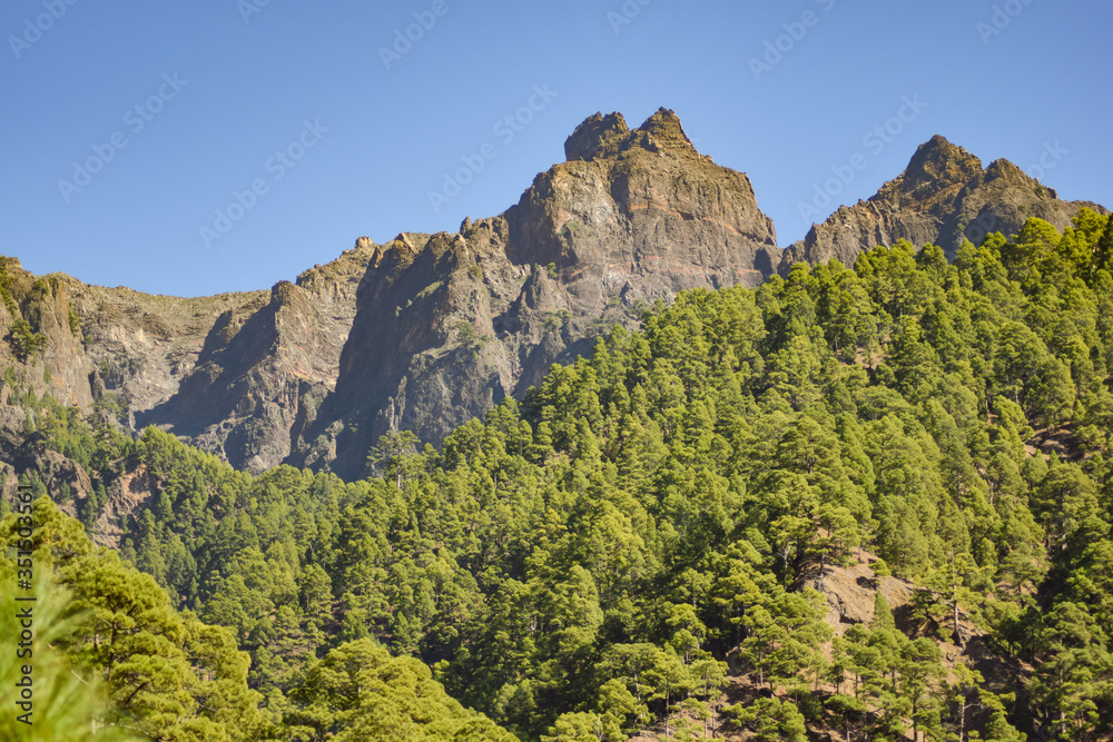 Mountain rocks behind pine forest in Caldera del taburiente valley at la Palma in Canary Islands, Spain