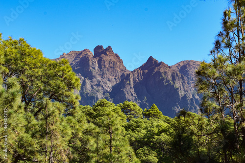 Mountain peaks of la Palma behind pine forest in Caldera del Taburiente photo