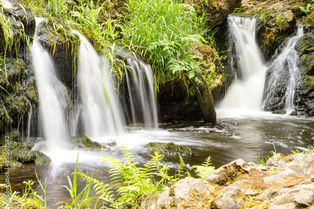 Fototapeta premium waterfall in nature