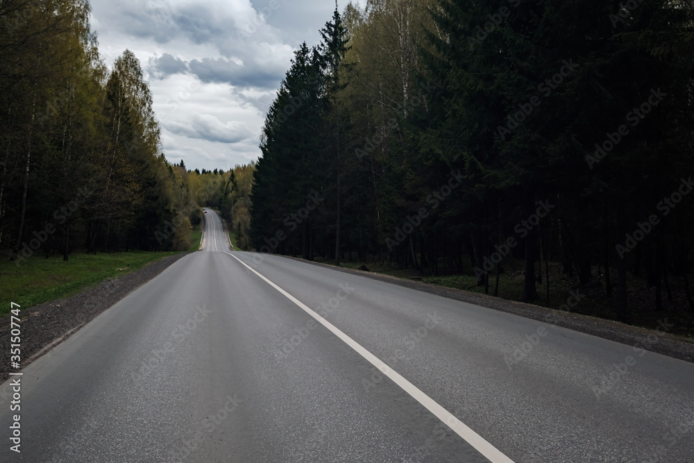 Fototapeta premium paved road in a traditional Russian forest of spruce and birch