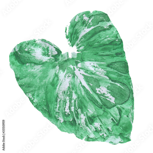 Drawing watercolor green leaf on a white background