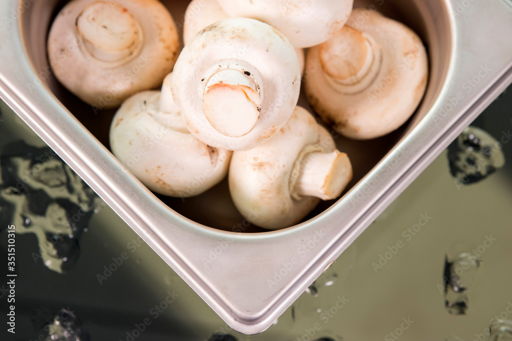 vegetables and mushrooms in trays vegetables and mushrooms in trays