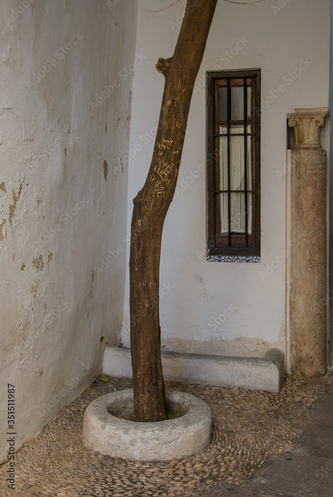 Φωτογραφία Typical white streets of the city of Cordoba. Spain