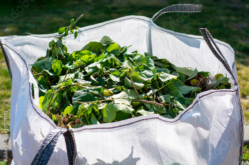 Large white rental bag with organic green garden waste. Local councils collecting green waste to process it into green energy and compost. 