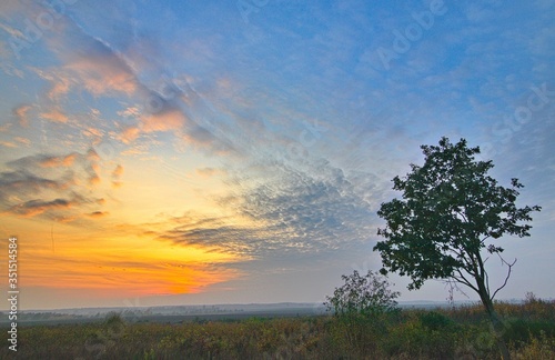 Zachód słońca i drzewo © Piotr