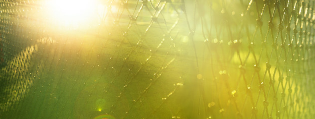 blur summer sunlight with green football or soccer field trough sport net web banner backgroun