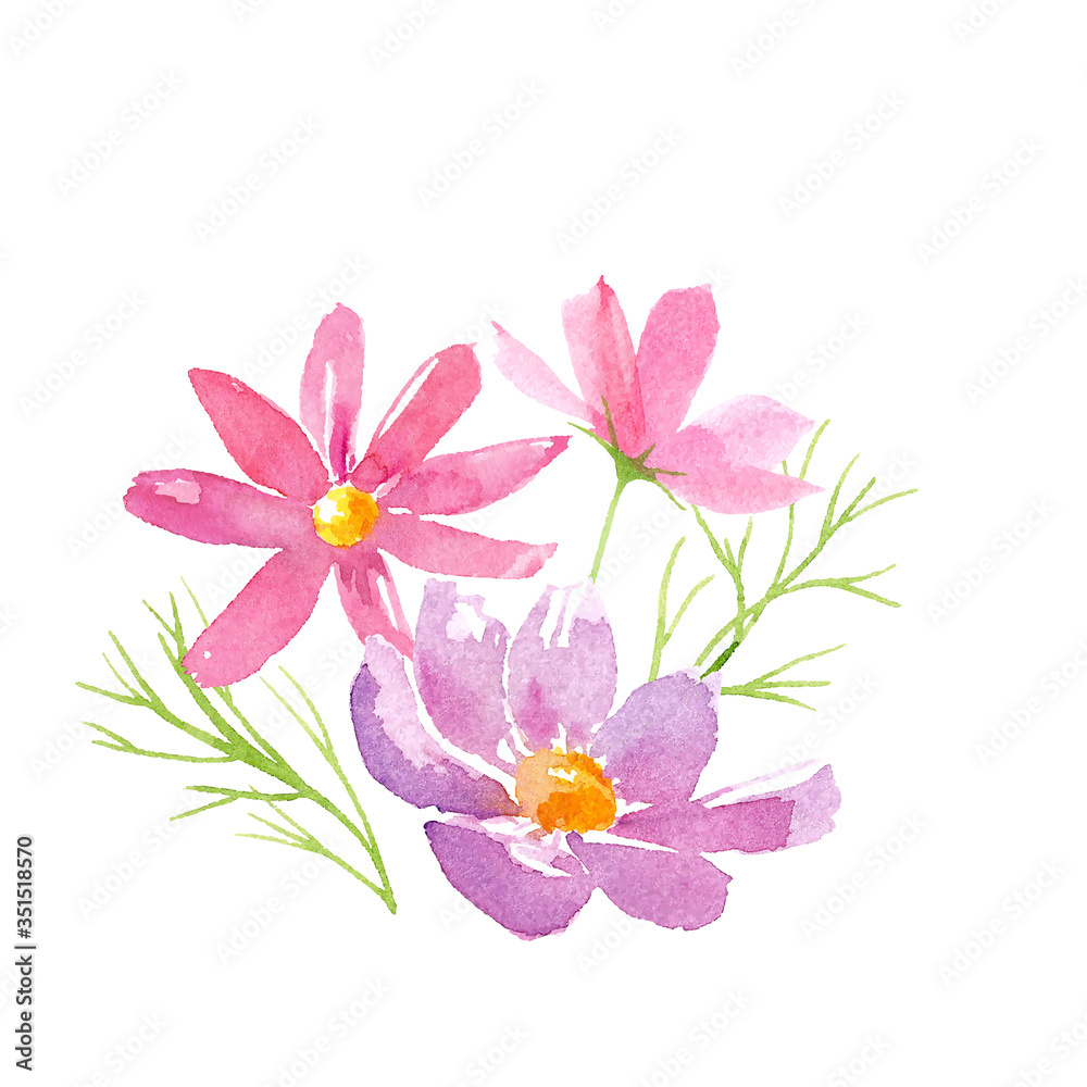 コスモスの花のアレンジメント 水彩イラストのトレースベクター Stock Vector Adobe Stock