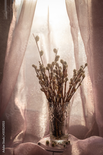 willow branches in a glass with water drops