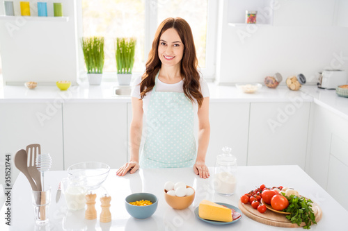 Photo of beautiful housewife chef enjoy morning cooking tasty dinner family recording video for blog quarantine stay home wear apron stand modern kitchen indoors