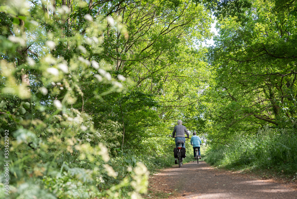 women on bicycle on narrow bike path through spring trees in the centre of holland women on bicycle on narrow bike path through spring trees in the centre of holland