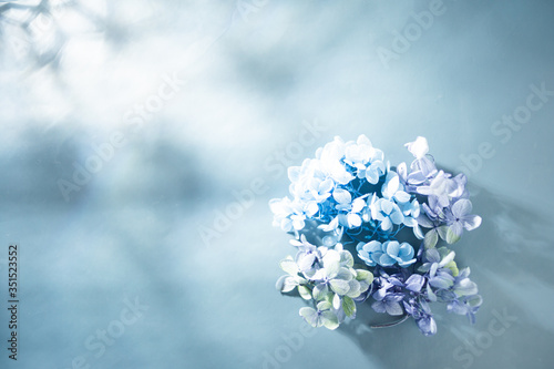 日本の花、紫陽花。梅雨・初夏の季節。