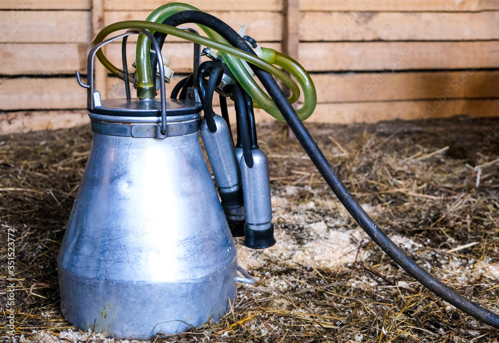 milking machine for cow's milk on a rustic wooden background and sawdust. Home farm milking machine for cow's milk on a rustic wooden background and sawdust. Home farm