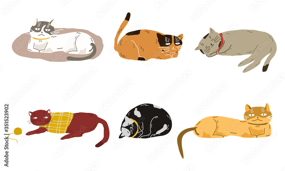 Set of cats in cartoon flat style. Cats sleep, play, hunt and rest