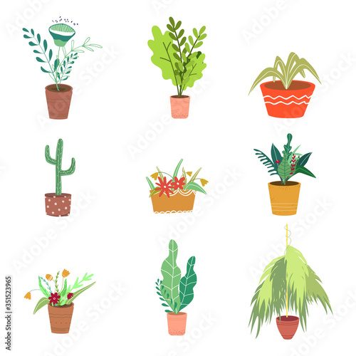 Flowers and plants in pots vector illustration in flat style. Set of Flowers in pots on a white background. Flowers for the home, growing flowers. Illustration in cartoon style.