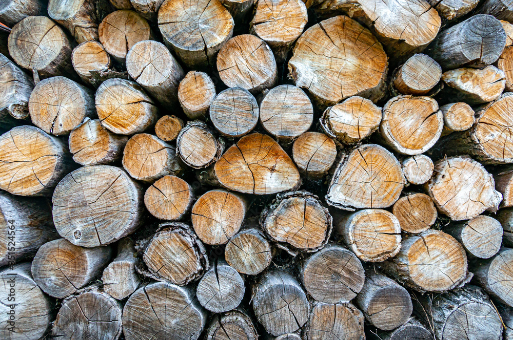 Different size ends of the oak firewood Different size ends of the oak firewood