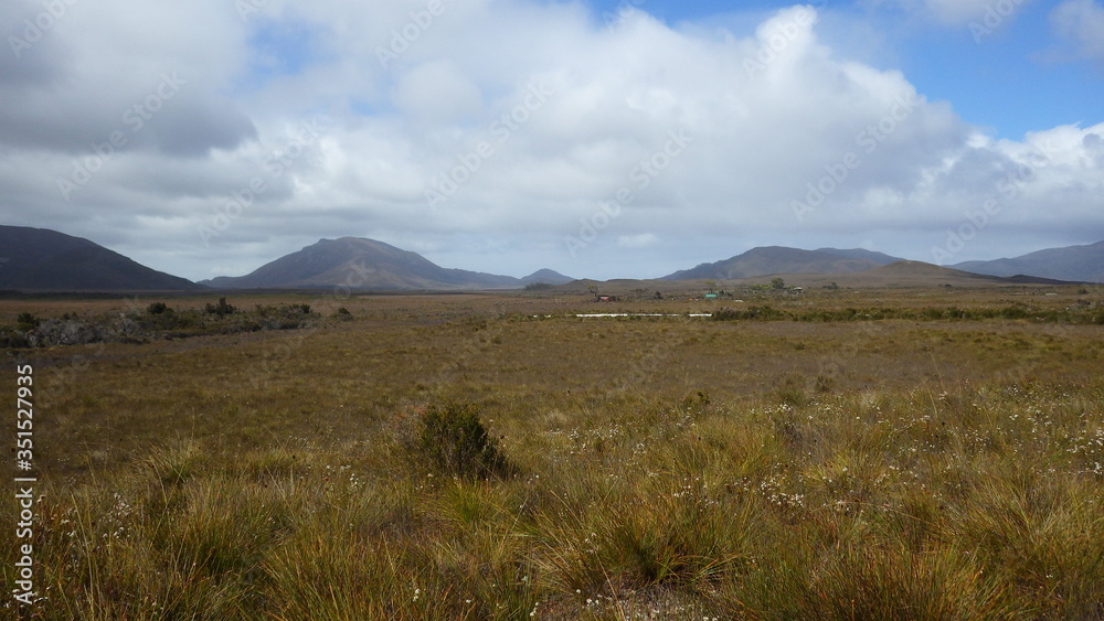 Great plain of Melaleuca, the Southwest National Park, Tasmania, Australia