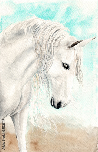 Watercolor illustration of a white horse with long white mane on the turquoise background