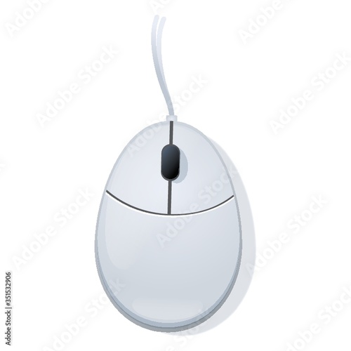 computer mouse