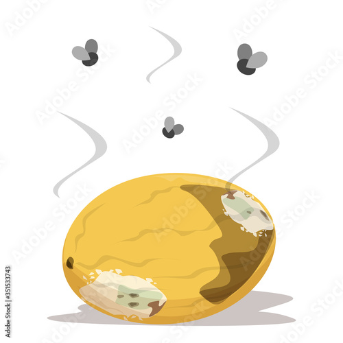 Rotten melon vector isolated. Insects flying above