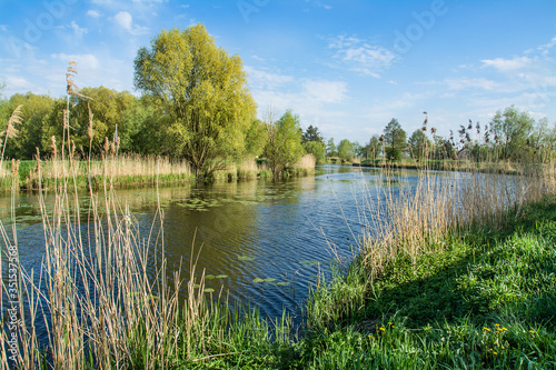 River, trees and blue sky. Beautiful spring landscape, Zulawy Wislane in Poland