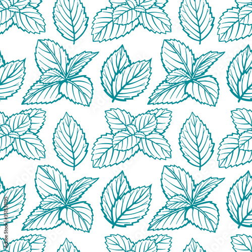 Mint. Peppermint leafs hand drawn seamless pattern. Mint leafs sketch drawing endless texture.