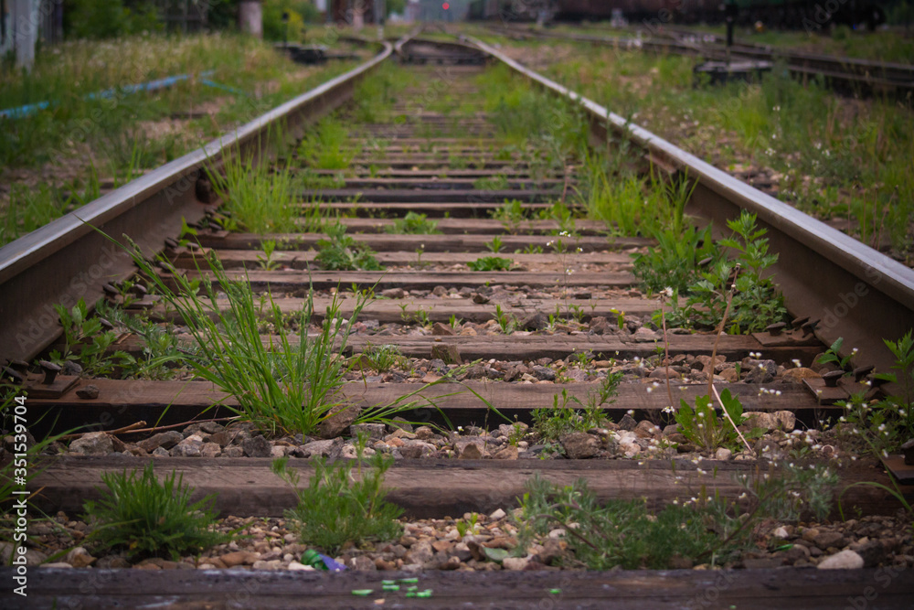 Overgrown railway tracks in the forest and grass Overgrown railway tracks in the forest and grass