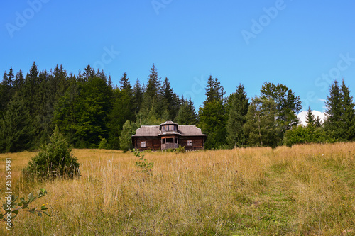 Secluded abandoned house in the mountains in the summer on a background of green trees