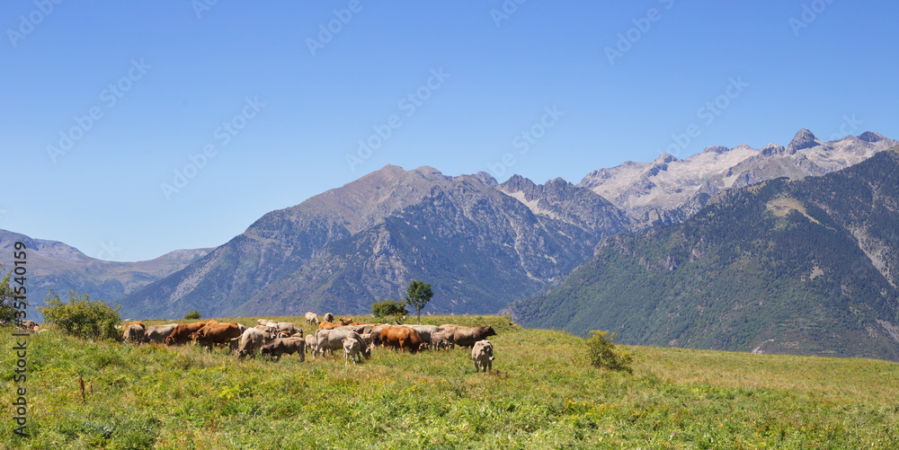 Cerler, Huesca/Spain; Aug. 21, 2017. Hiking along the route of the three waterfalls of Ardones in the town of Cerler in the summer holidays. Cerler, Huesca/Spain; Aug. 21, 2017. Hiking along the route of the three waterfalls of Ardones in the town of Cerler in the summer holidays.