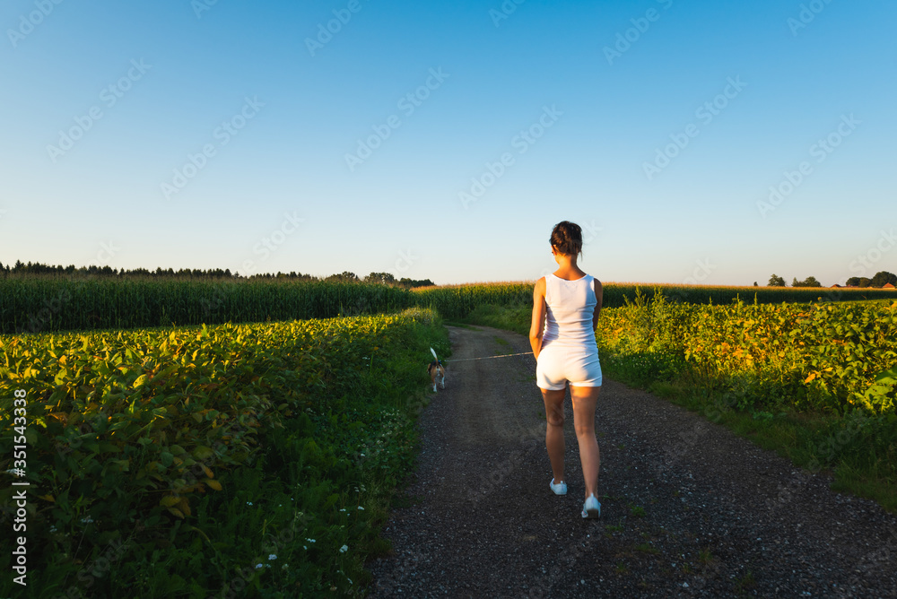Girl is walking with a beagle dog on a leash in the sunset to the forest in rural area.