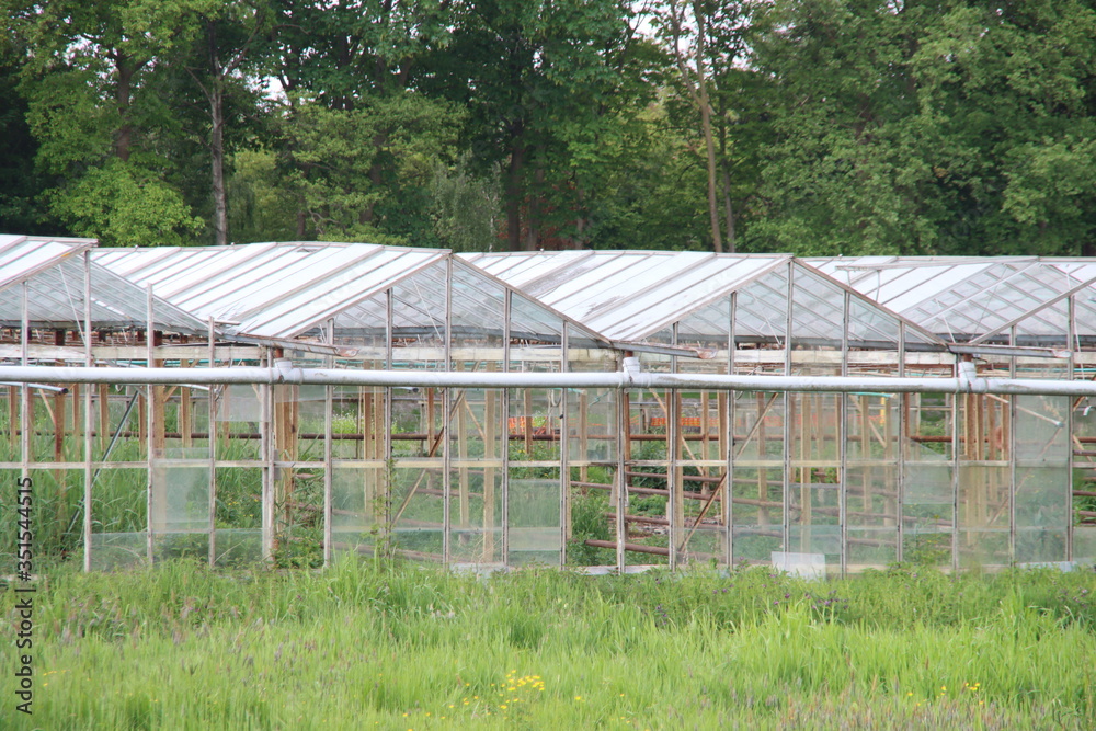 abandoned and dilapidated greenhouse with broken windows and rusty rafters in a meadow in Nieuwerkerk aan den IJssel