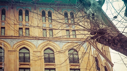 Tree branches covering walls of building and windows © Oz Rao
