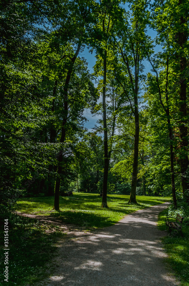 Trees in nature park, Maksimir Zagreb Trees in nature park, Maksimir Zagreb