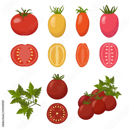 Vector collection of various sorts of tomatoes.
