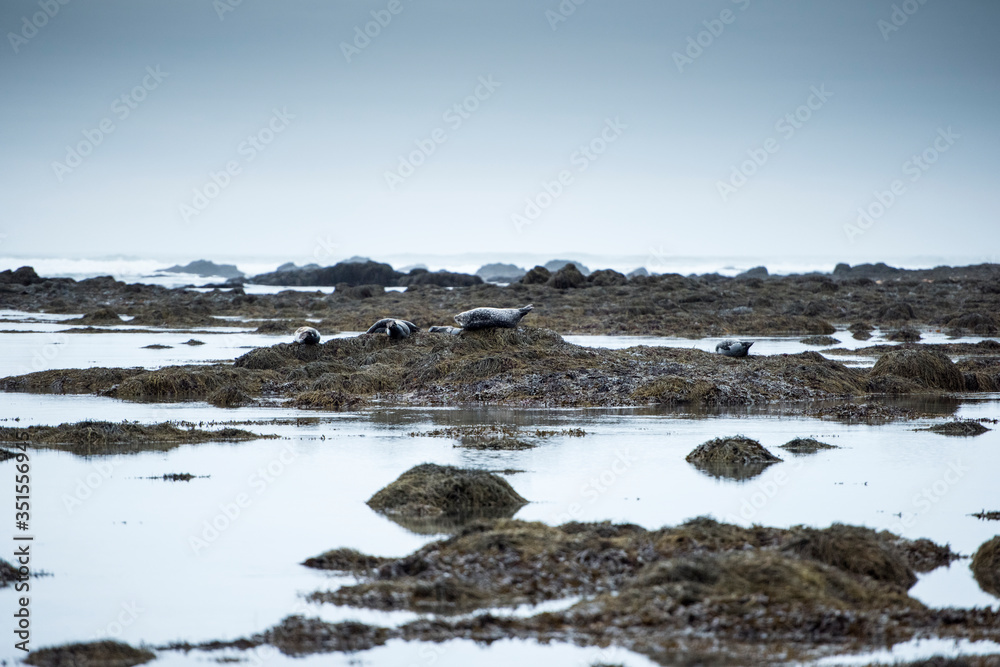 Bardur in Snaefellness, Iceland. Bardur in Snaefellness, Iceland.