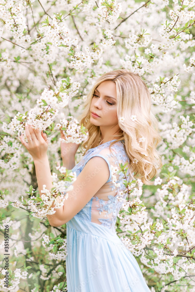 woman in a long blue dress in a spring garden. Tender photo with white flowers woman in a long blue dress in a spring garden. Tender photo with white flowers