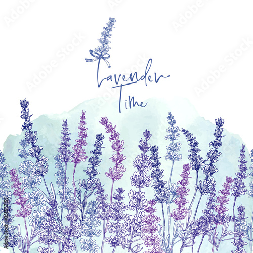 Cute card with of hand drawn sketch of Lavender flower and small bow isolated on white background. France retro pattern for romantic design concept. Text Lavender time Vintage illustration.