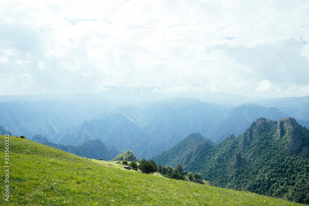 custom made wallpaper toronto digitalGreen fresh grass in mountains in summer, beautiful landscape of Caucasus, Elbrus national park, Russia