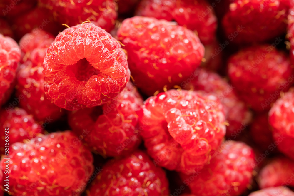 raspberries with water drops close up, selective focus, macro raspberries with water drops close up, selective focus, macro