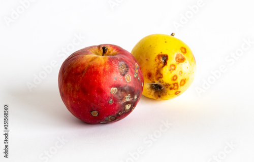 Quadro su tela Bad apples